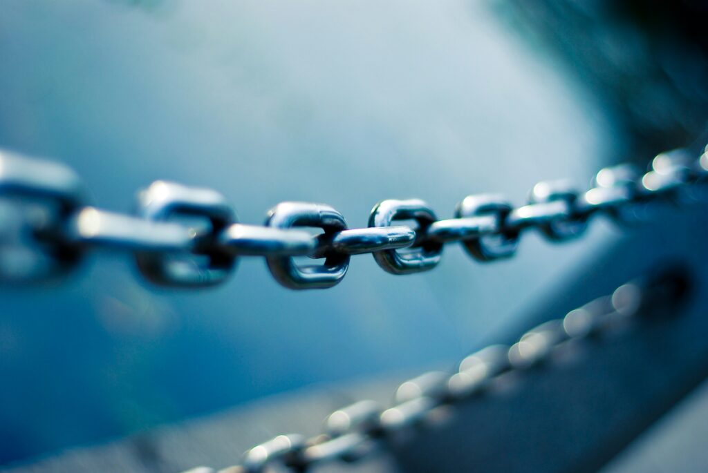 jj ying pdxyfxvlk2m unsplash (1)