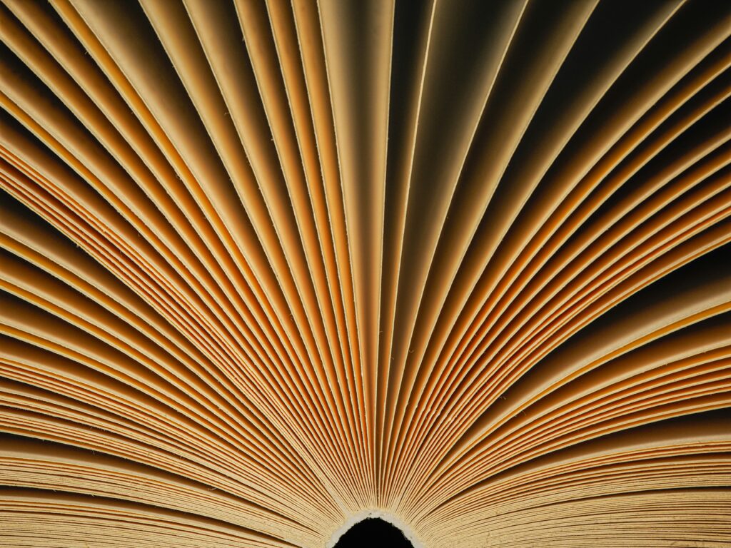mohamed marey tze9vb4ej4y unsplash